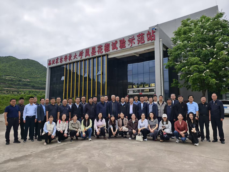 7705FFD0BE06F693579A04333E42FE4C_副本.jpg