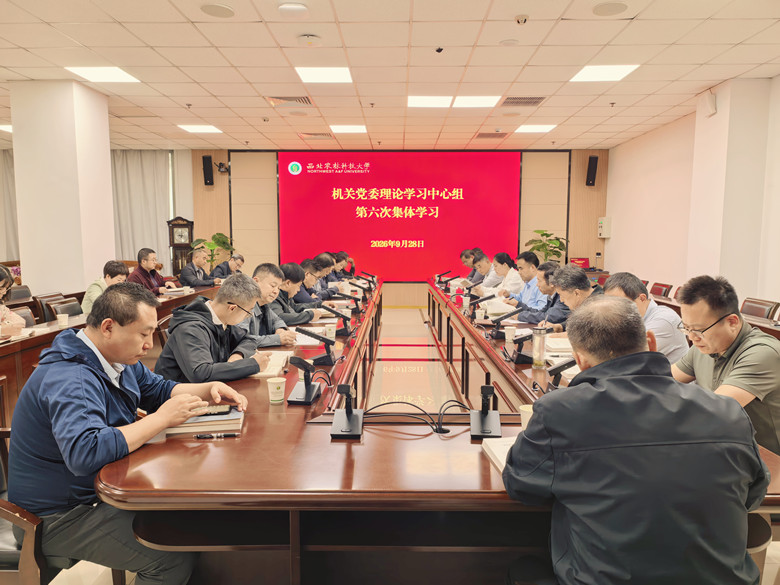 会场.jpg