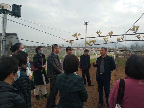 4d6a43e6d5ae4299b899d2a9bc942d6f.jpg 首席专家刘占德现场讲解猕猴桃知识.jpg